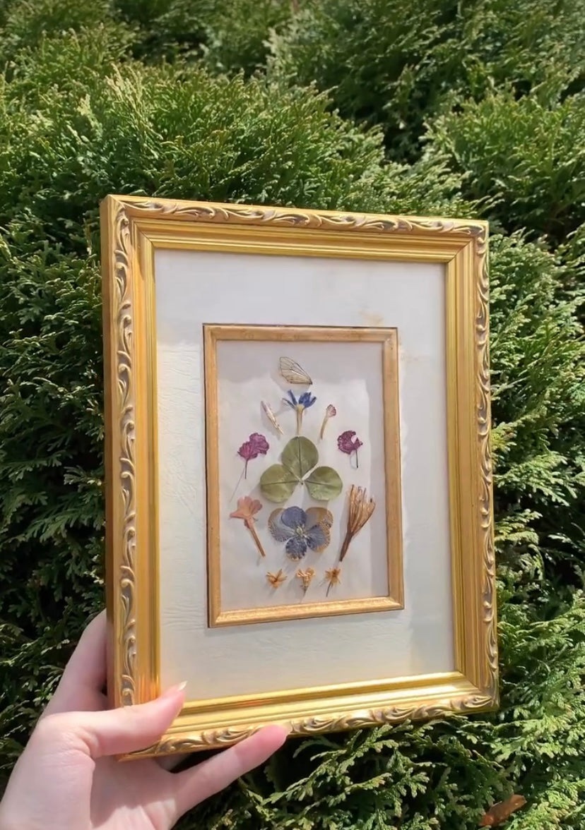 Framed Pressed Flowers