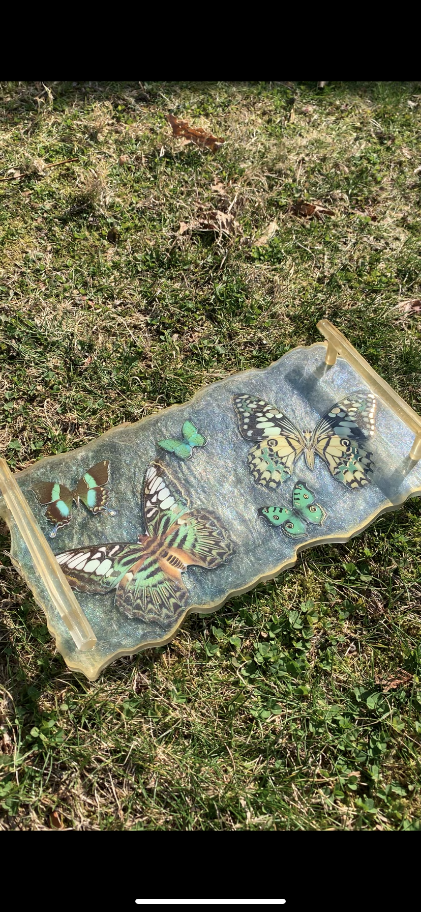 Green and Gold Butterfly Tray